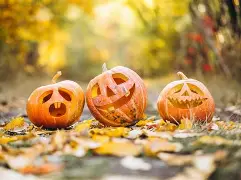 Bemannade öppettider - Halloweenhelgen 